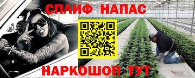 гидропоника Будённовск