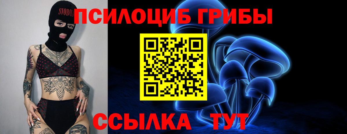 Псилоцибиновые грибы Psilocybine cubensis  Вход с VPN  Балаково 